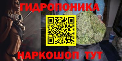 эйфоретик Бузулук