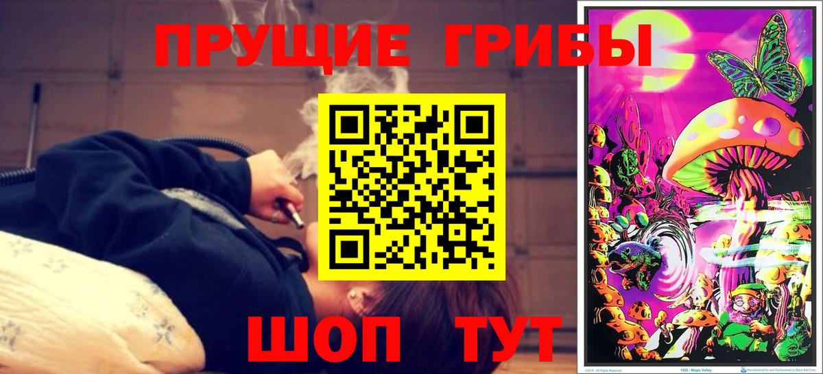 Тула  Псилоцибиновые грибы MAGIC MUSHROOMS  где купить наркотик  Вход с VPN 