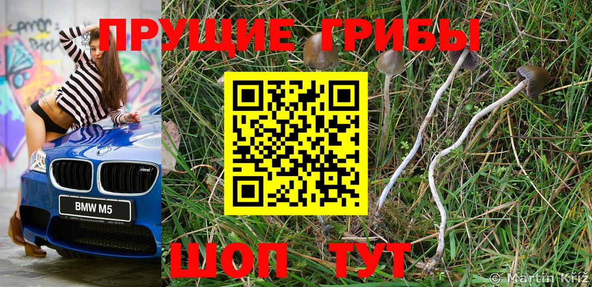 Галлюциногенные грибы GOLDEN TEACHER Тула
